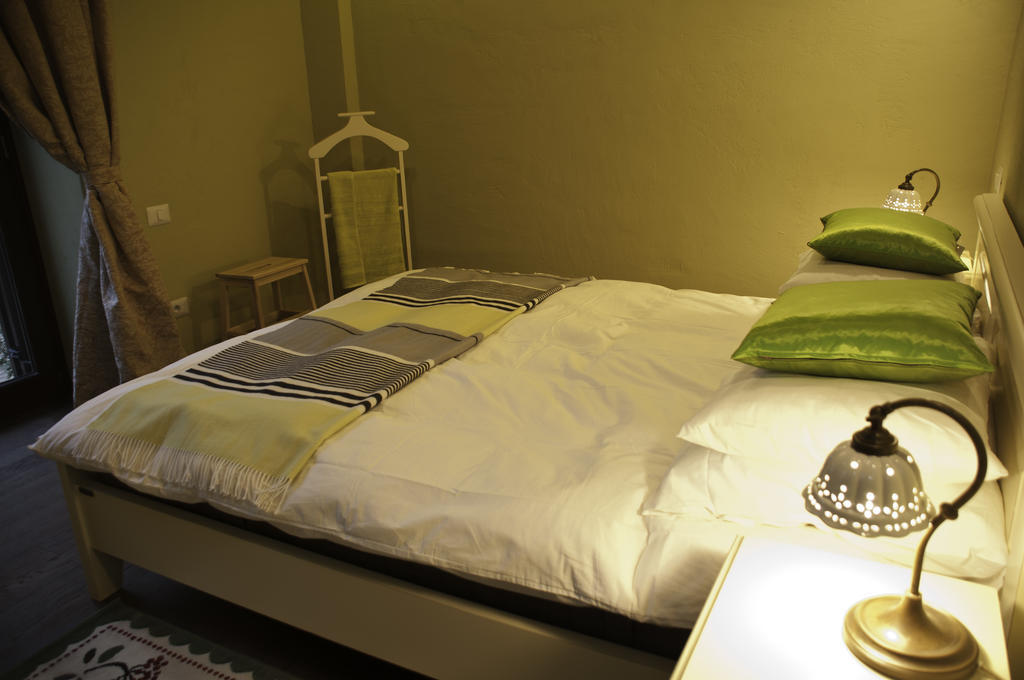 Arina Apartments Braşov Rum bild