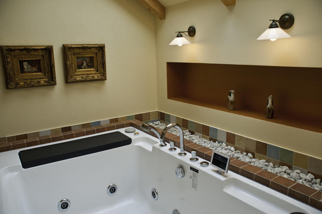Arina Apartments Braşov Rum bild